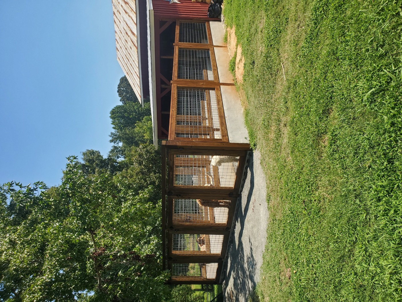 Dog enclosure